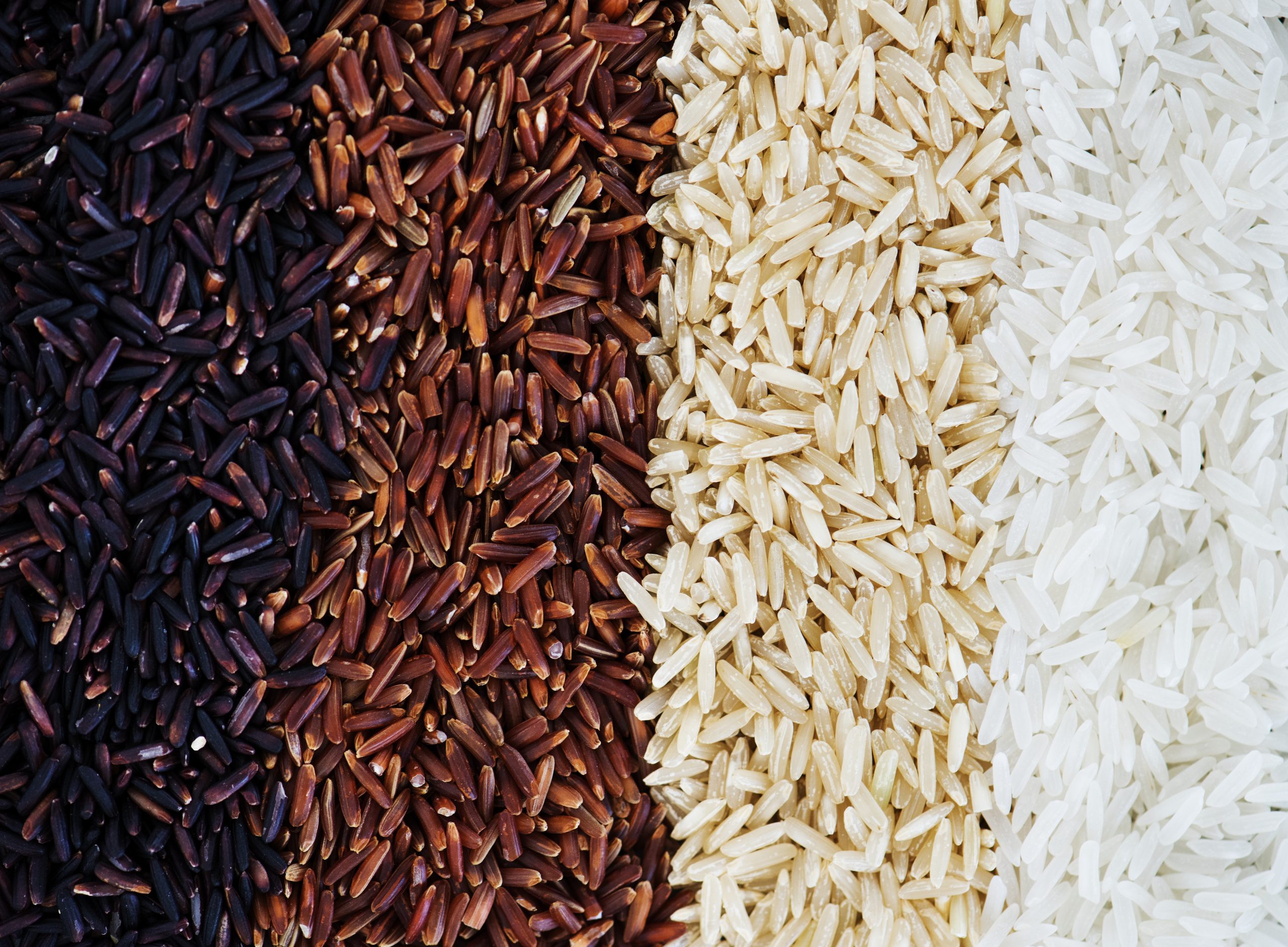 Closeup Of Mixed Rice
